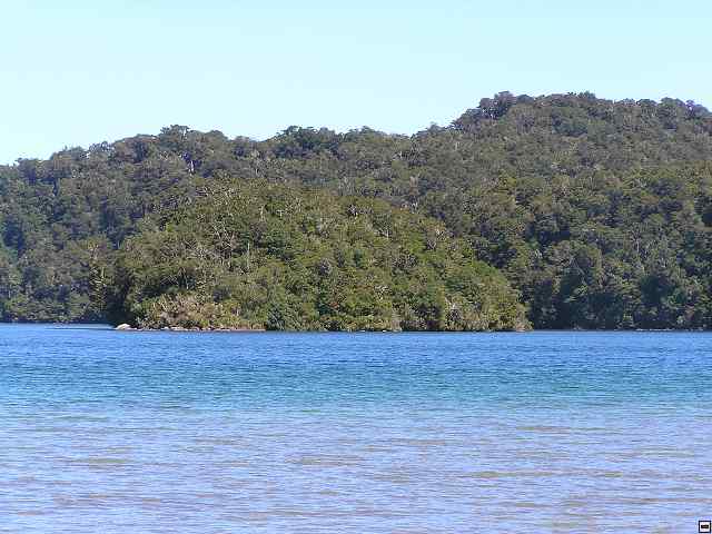 NZ leden-unor 2006 262.jpg